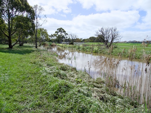 creek photo